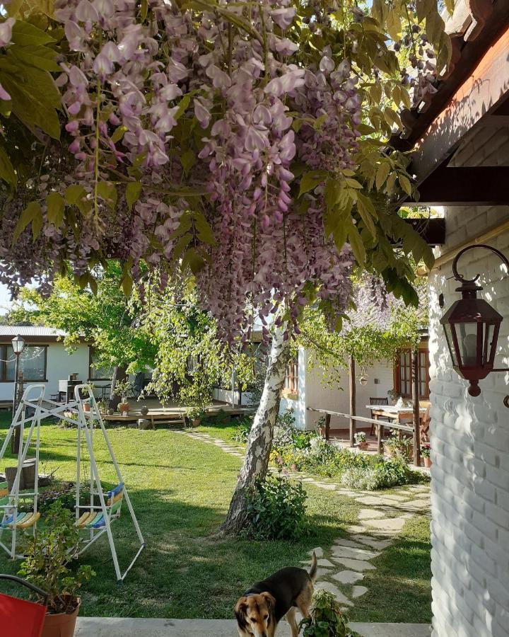 Shai Shai Hue Puerto Madryn Exterior foto